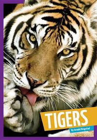 Cover image for Tigers