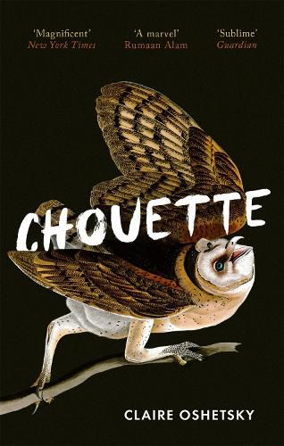 Cover image for Chouette
