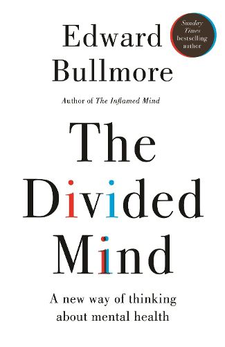 Cover image for The Divided Mind