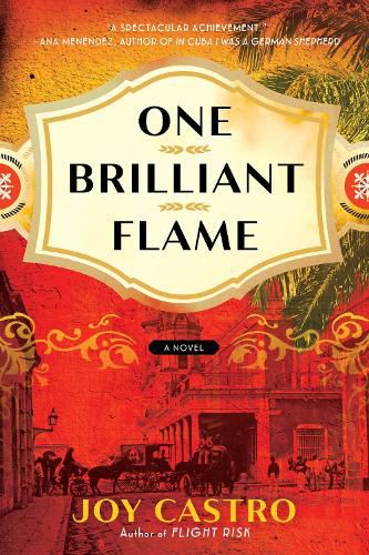 Cover image for One Brilliant Flame: A Novel