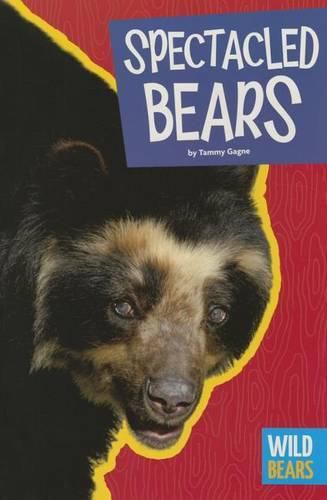 Cover image for Spectacled Bears