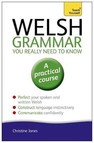 Cover image for Welsh Grammar You Really Need to Know: Teach Yourself