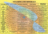 Cover image for Vitamins & Minerals -- A4