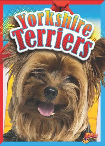 Cover image for Yorkshire Terriers