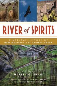 Cover image for River of Spirits: A Natural History of New Mexico's LAS Animas Creek