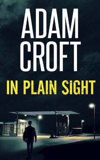 Cover image for In Plain Sight