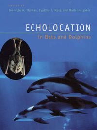 Cover image for Echolocation in Bats and Dolphins