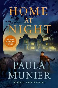 Cover image for Home at Night