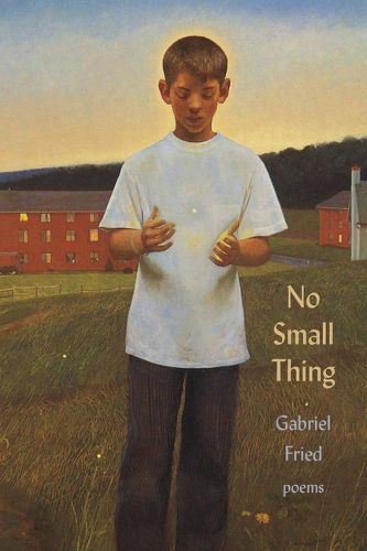 Cover image for No Small Thing