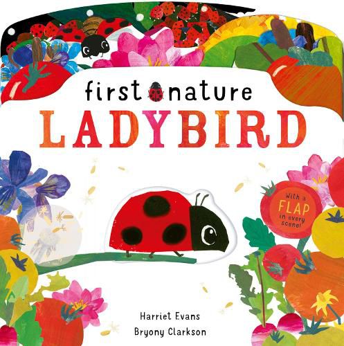 Cover image for Ladybird