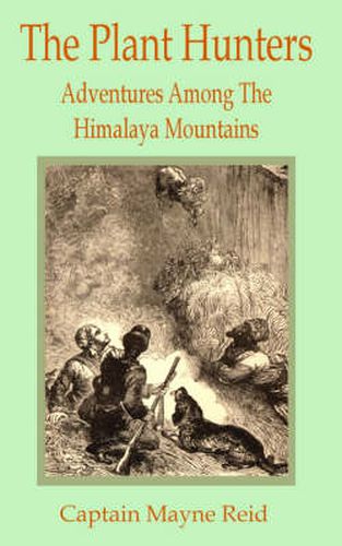 Cover image for Plant Hunters: Adventures Among The Hymalaya Mountains, The