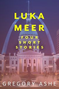 Cover image for Luka Meer