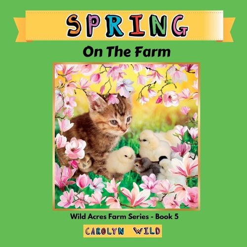 Cover image for Spring