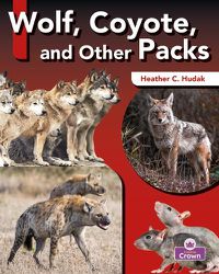 Cover image for Wolf, Coyote, and Other Packs