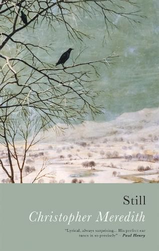 Cover image for Still