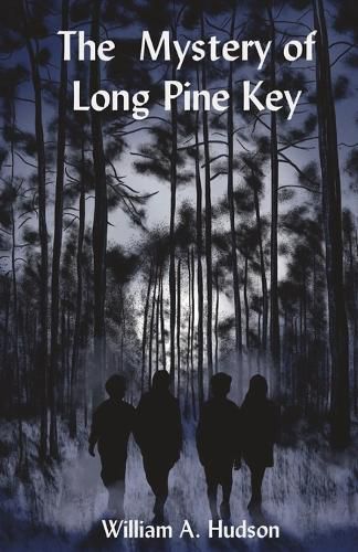 Cover image for The Mystery of Long Pine Key