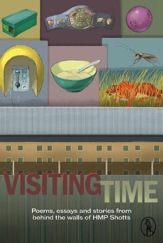 Cover image for Visiting Time