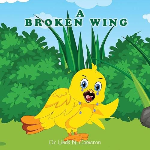 Cover image for A Broken Wing