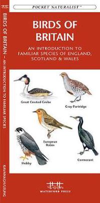 Cover image for Birds of Britain: A Folding Pocket Guide to Familiar Species of England, Scotland & Wales