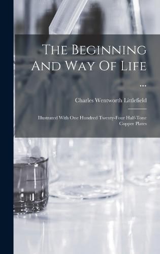 Cover image for The Beginning And Way Of Life ...