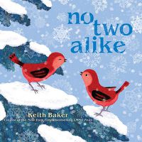 Cover image for No Two Alike