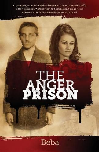 Cover image for The Anger Prison