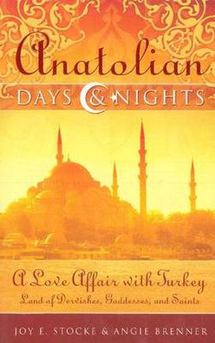 Cover image for Anatolian Days and Nights