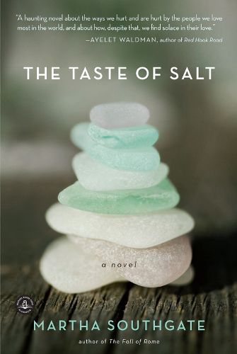 Cover image for The Taste of Salt