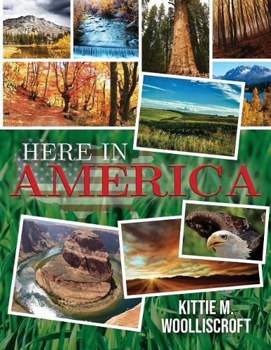 Cover image for Here in America
