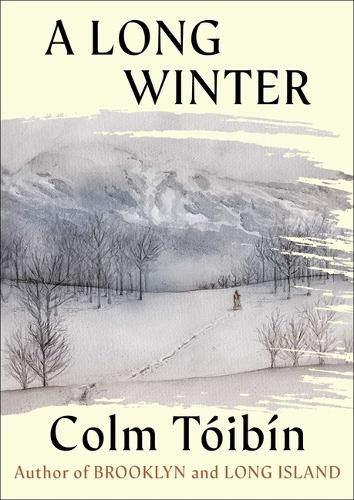 Cover image for A Long Winter