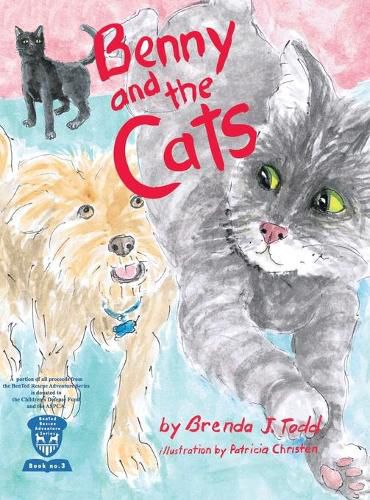 Cover image for Benny and the Cats