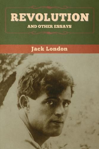 Cover image for Revolution and Other Essays