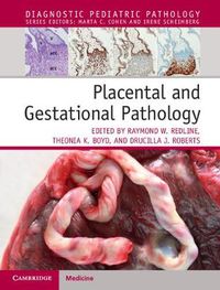 Cover image for Placental and Gestational Pathology Hardback with Online Resource