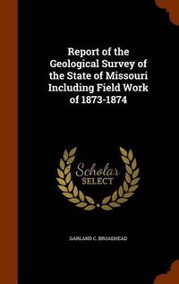 Cover image for Report of the Geological Survey of the State of Missouri Including Field Work of 1873-1874