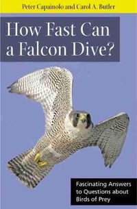 Cover image for How Fast Can A Falcon Dive?: Fascinating Answers to Questions about Birds of Prey