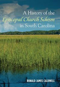 Cover image for A History of the Episcopal Church Schism in South Carolina