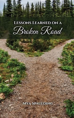 Cover image for Lessons Learned on a Broken Road