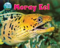 Cover image for Moray Eel