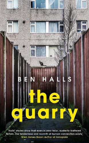 Cover image for The Quarry