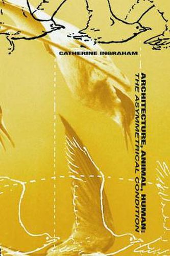 Cover image for Architecture, Animal, Human: The Asymmetrical Condition