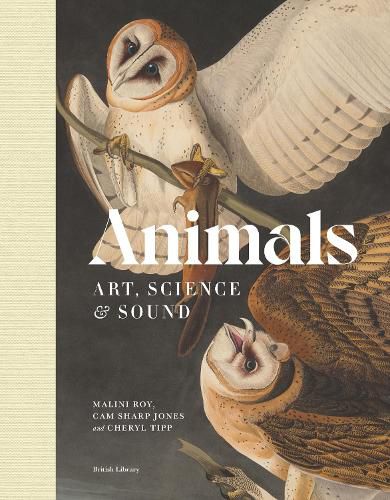 Cover image for Animals