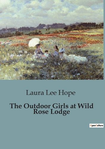 Cover image for The Outdoor Girls at Wild Rose Lodge