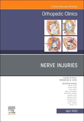 Cover image for Nerve Injuries, An Issue of Orthopedic Clinics
