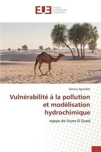 Cover image for Vulnerabilite A La Pollution Et Modelisation Hydrochimique