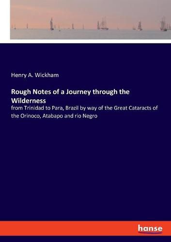 Cover image for Rough Notes of a Journey through the Wilderness: from Trinidad to Para, Brazil by way of the Great Cataracts of the Orinoco, Atabapo and rio Negro