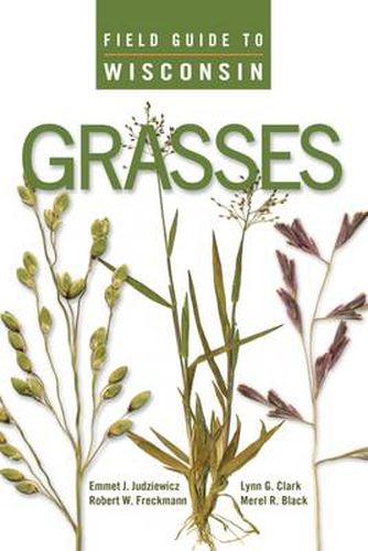 Cover image for Field Guide to Wisconsin Grasses