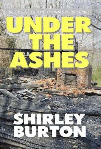 Cover image for Under the Ashes