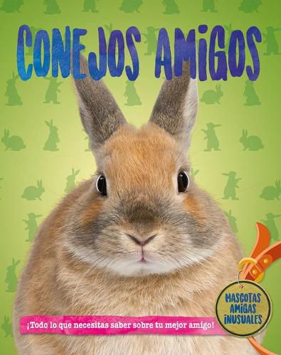 Cover image for Conejos Amigos