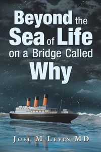 Cover image for Beyond the Sea of Life on a Bridge Called Why