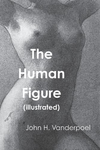 Cover image for The Human Figure